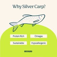 Silver Carp For Dogs