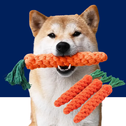 Durable Carrot Rope Dog Chew Toy for Dental Health and Play