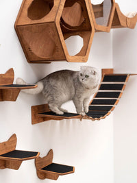 Cat Wall Bridge Light