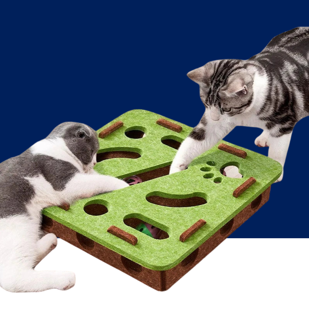 Cat Toy Fun Box Interactive Puzzle