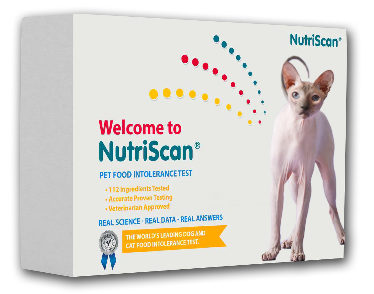 CAT FOOD ALLERGY / SENSITIVITY TEST! - Health Products 4 All - ReNewedPet