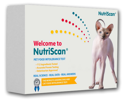 CAT FOOD ALLERGY / SENSITIVITY TEST! - Health Products 4 All - ReNewedPet