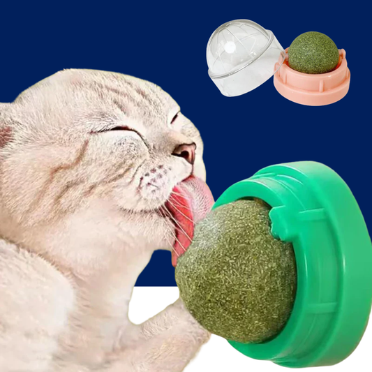 Cat Catnip Toy Wall Ball Digestive Aid