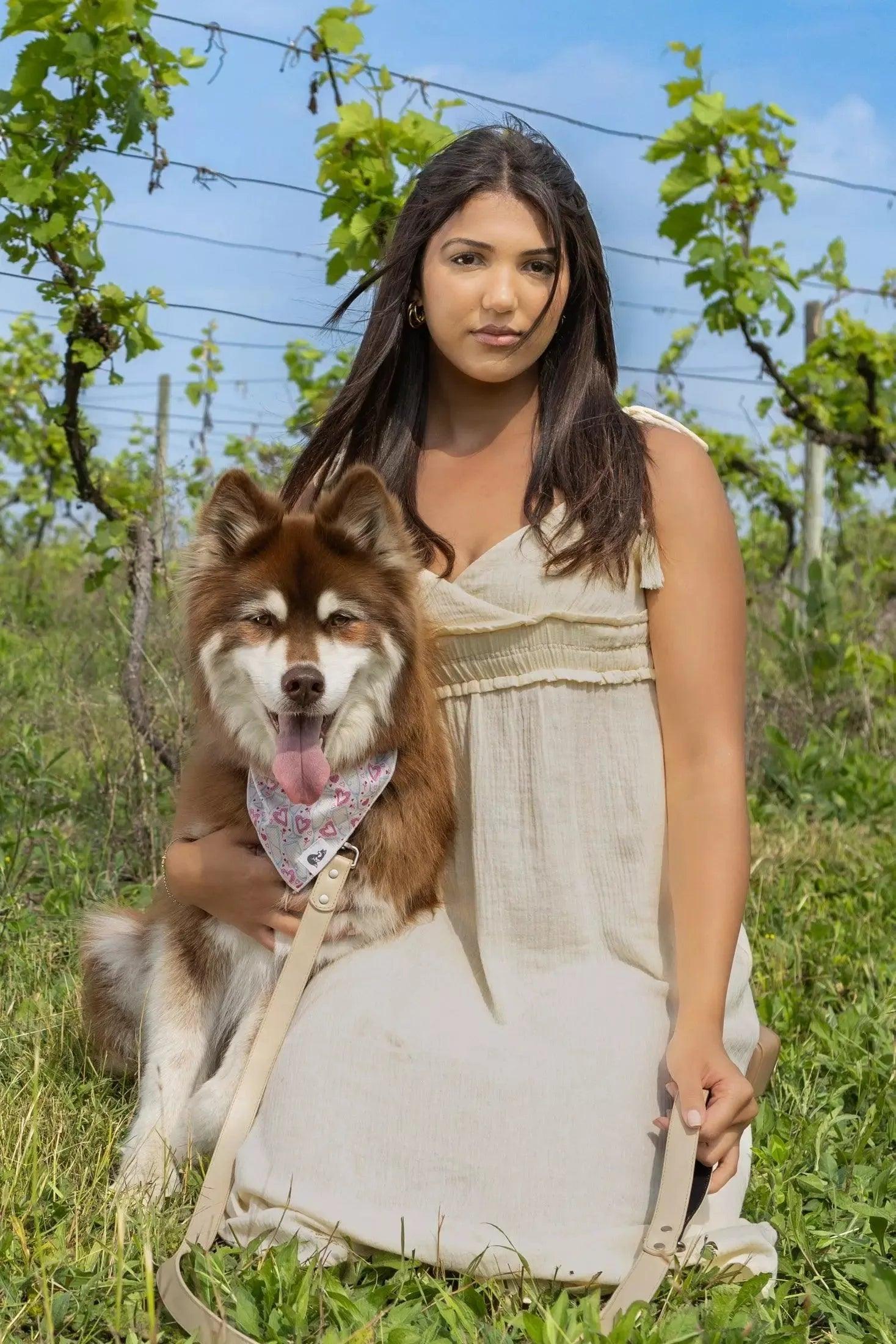 Champagne Fizz Vegan Leather Dog Collar - Leather Dog Collar - Aria the Fox