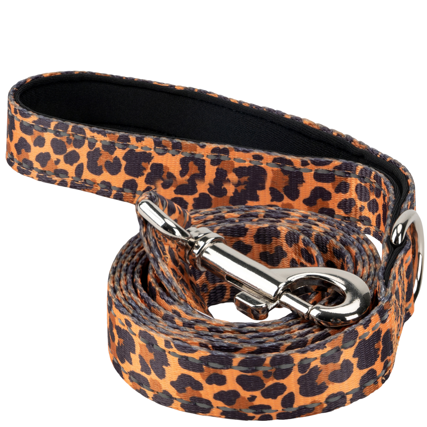 Eco Style Dog Leash for Daily Walks for Royal Pet Homes - Dog Leash view 1 from Purrfect Pet Kingdom