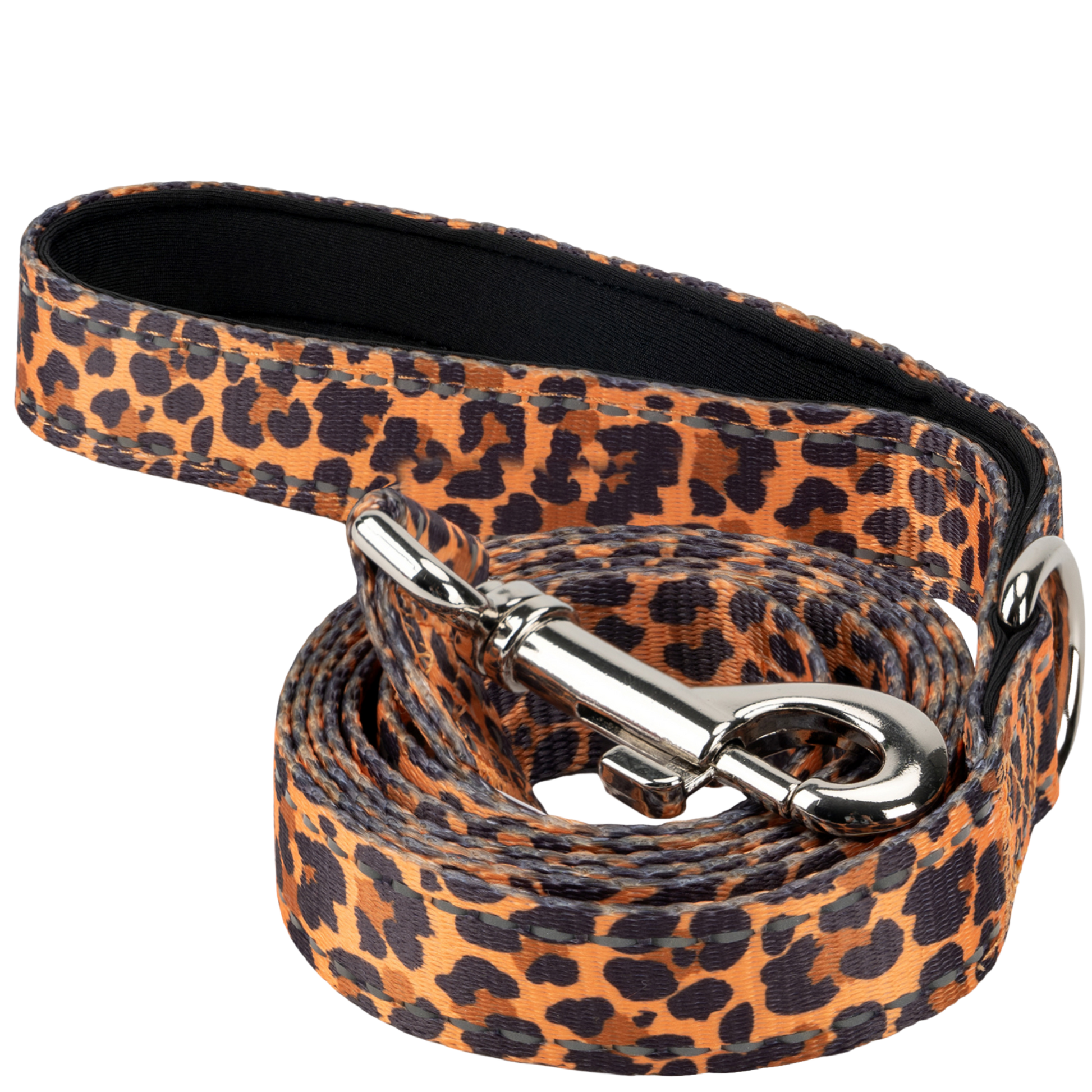 Eco Style Dog Leash for Daily Walks for Royal Pet Homes - Dog Leash view 1 from Purrfect Pet Kingdom