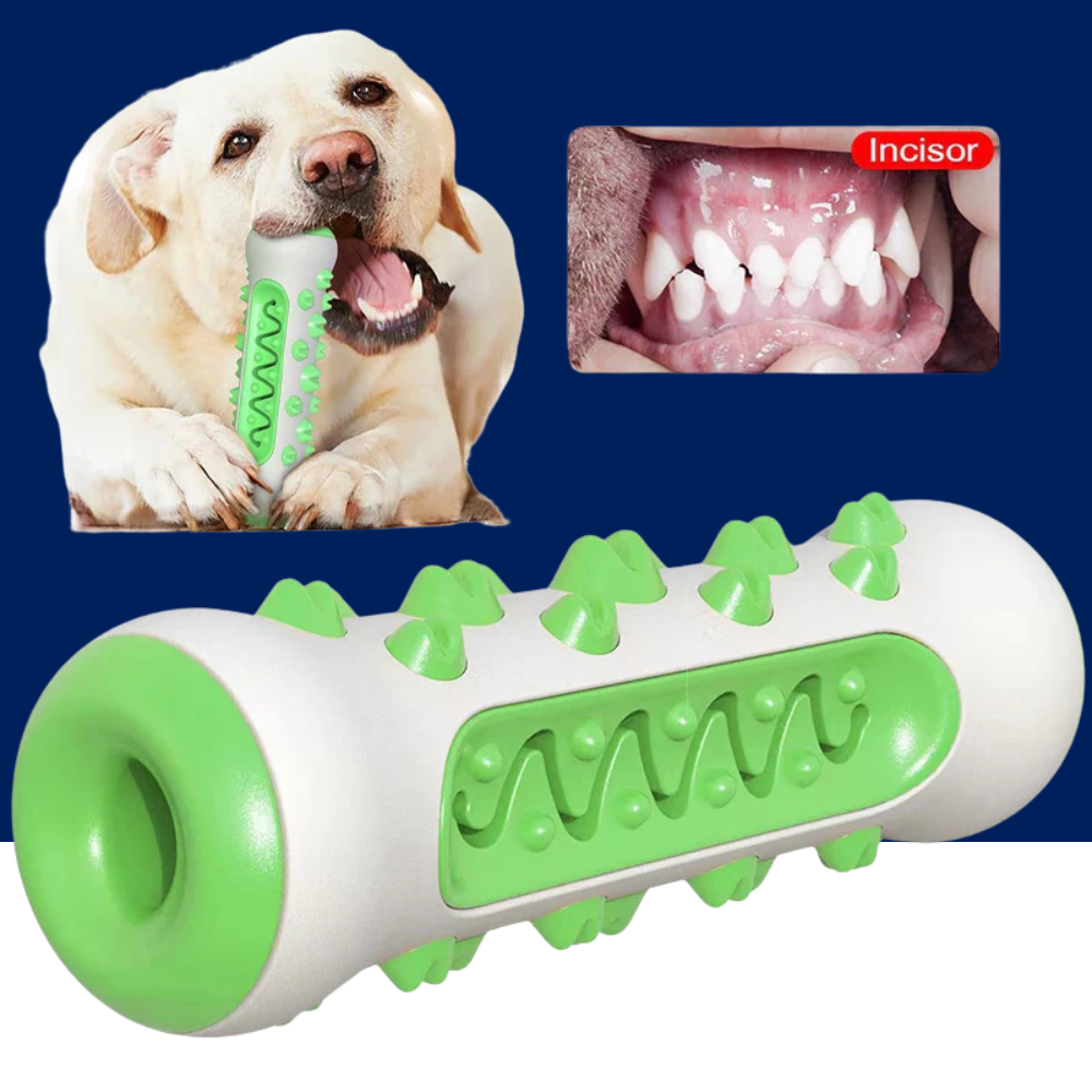 Dog Toy Chew-Resistant Rubber Dental Health