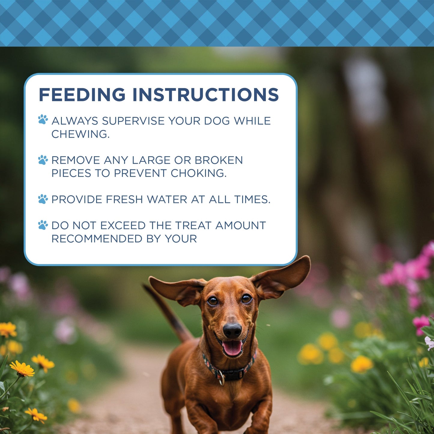 Chicken Hearts & Livers Dog Treats - Premium Training Treats 9oz 🦴