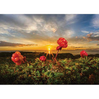 Cloudberries 1000 Piece Jigsaw Puzzle Heye