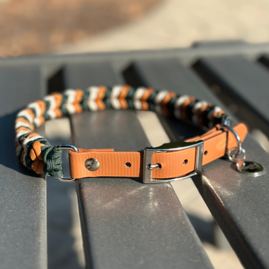 Coiled Charm Hand Braided Dog Collar in Hunter Green,