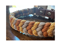 Coiled Charm Hand Braided Dog Collar in Mustard, Goldenrod,