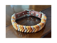 Coiled Charm Hand Braided Dog Collar in Mustard, Goldenrod,