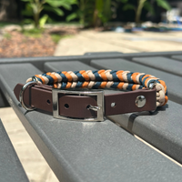 Coiled Charm Hand Braided Dog Collar in Mustard, Navy, &