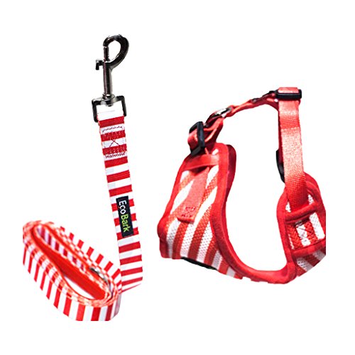 Eco Style Dog Harness with Secure Fit for Dogs and Cats - Dog Harness view 1 from Purrfect Pet Kingdom