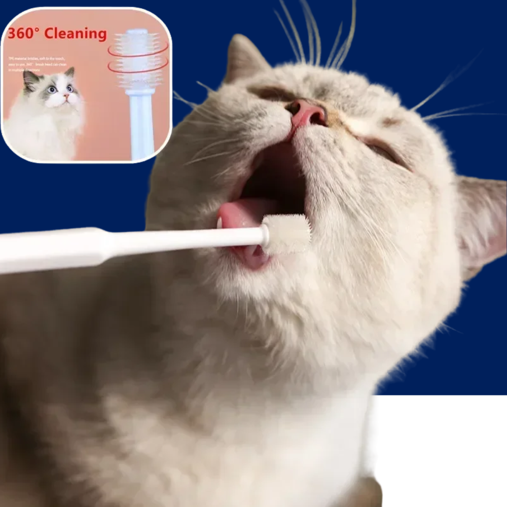 Pet Dental Kit - Dog & Cat Toothbrush and Toothpaste Set