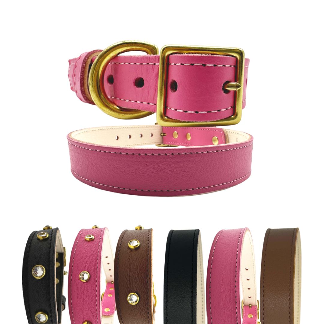 Plain Leather Dog Collar | Purrfect Pet Kingdom