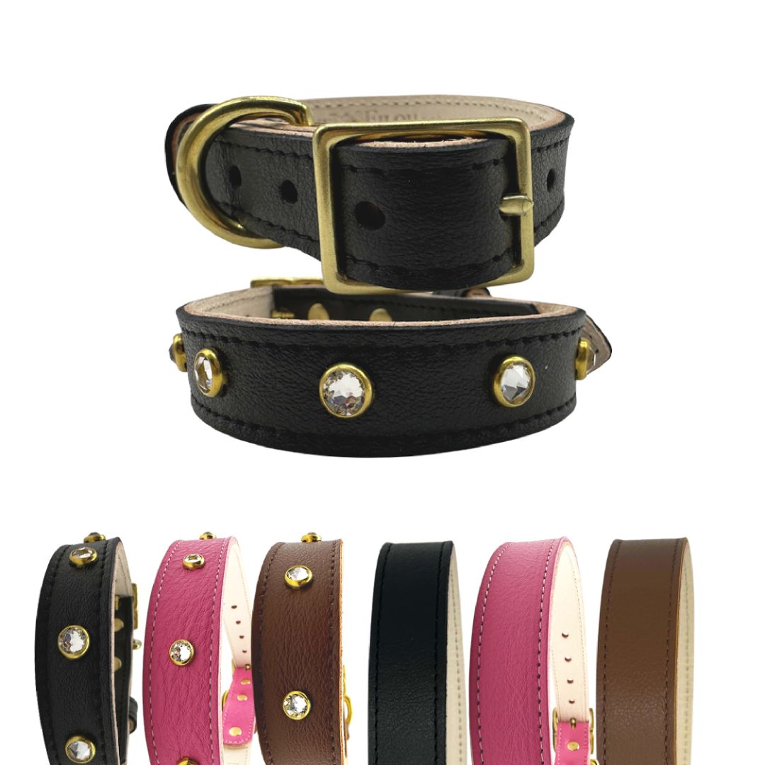 Plain Leather Dog Collar | Purrfect Pet Kingdom