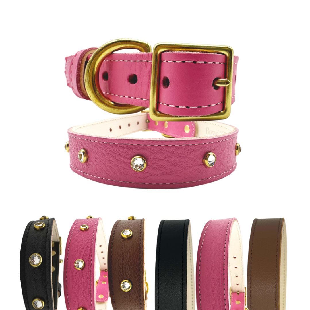 Plain Leather Dog Collar | Purrfect Pet Kingdom
