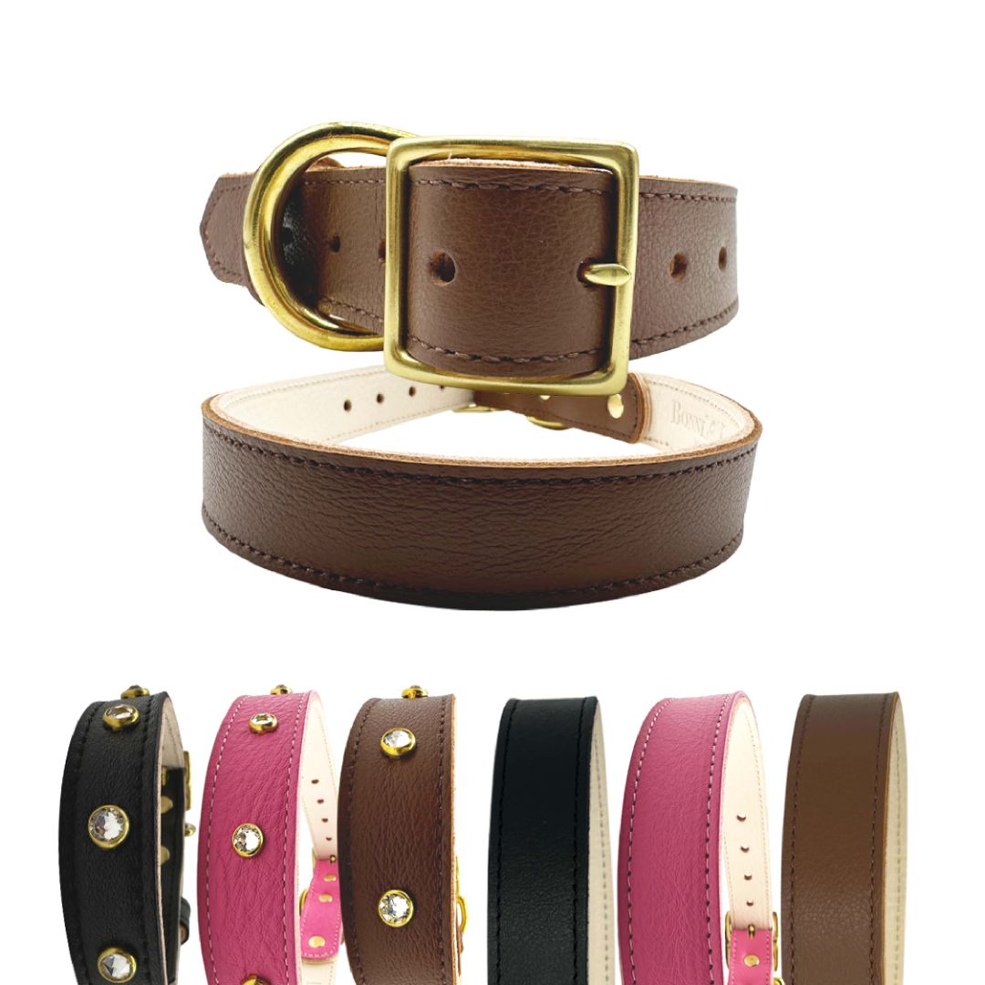 Plain Leather Dog Collar | Purrfect Pet Kingdom