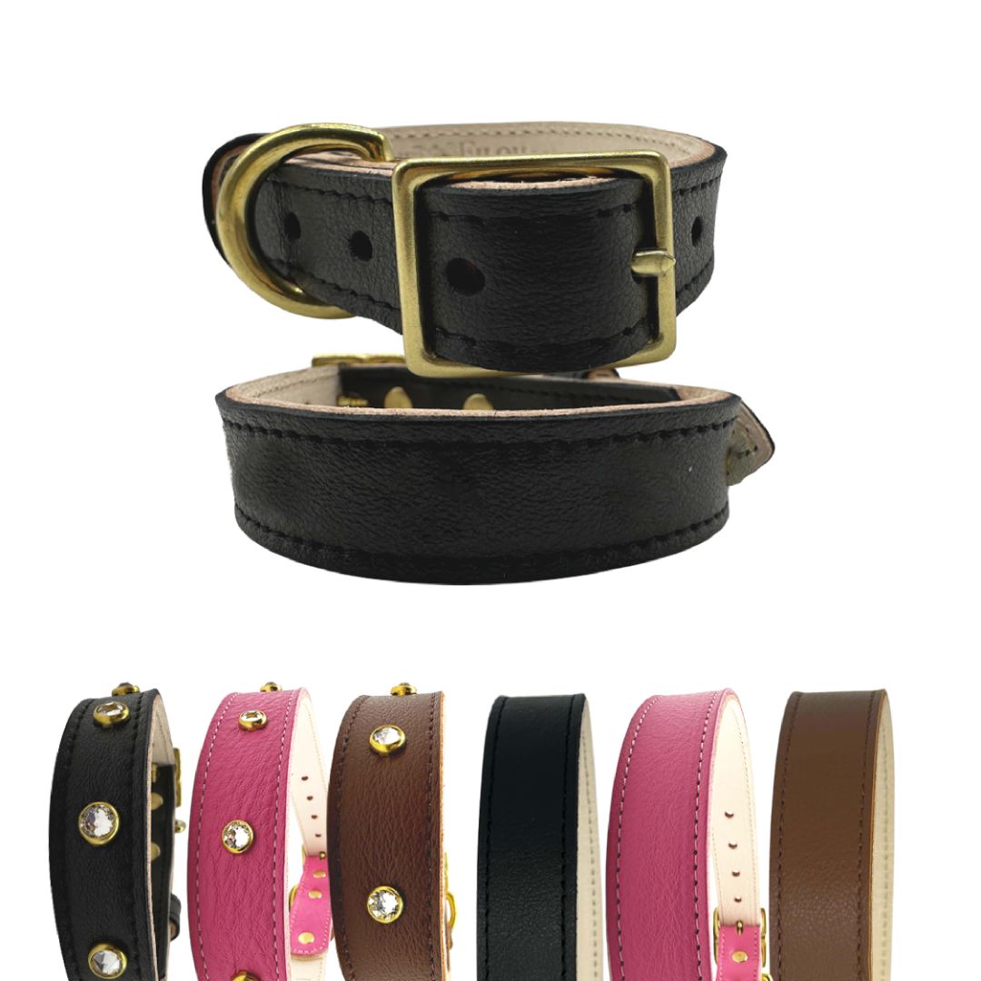 Plain Leather Dog Collar | Purrfect Pet Kingdom