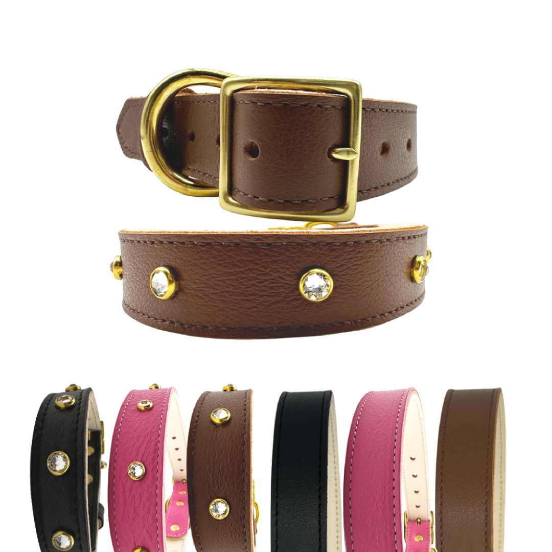 Plain Leather Dog Collar | Purrfect Pet Kingdom
