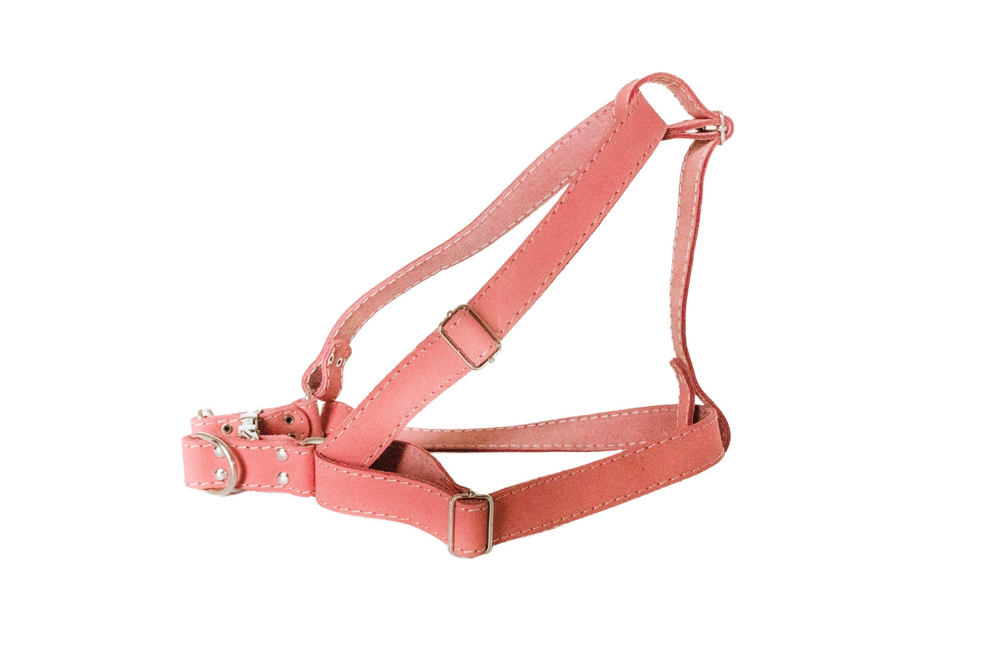 Dog Collar Step In Leather Harness for Daily Use for Comfort - detail product image for dog collar