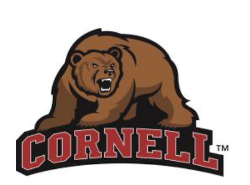 Dog Toy NCAA Cornell University Big Red Bear Knottie Plush - close up product image for dog toy