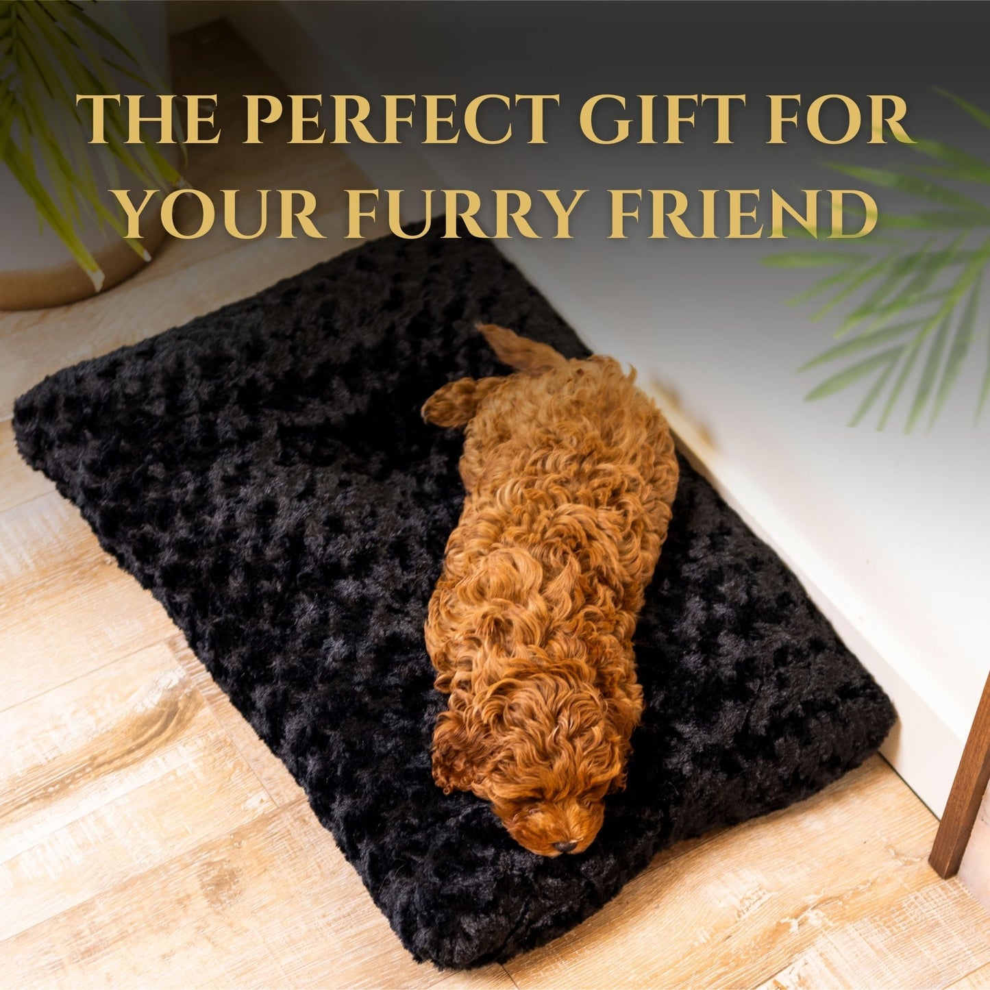Cozy Canine Dog Bed - Wasatch Pup
