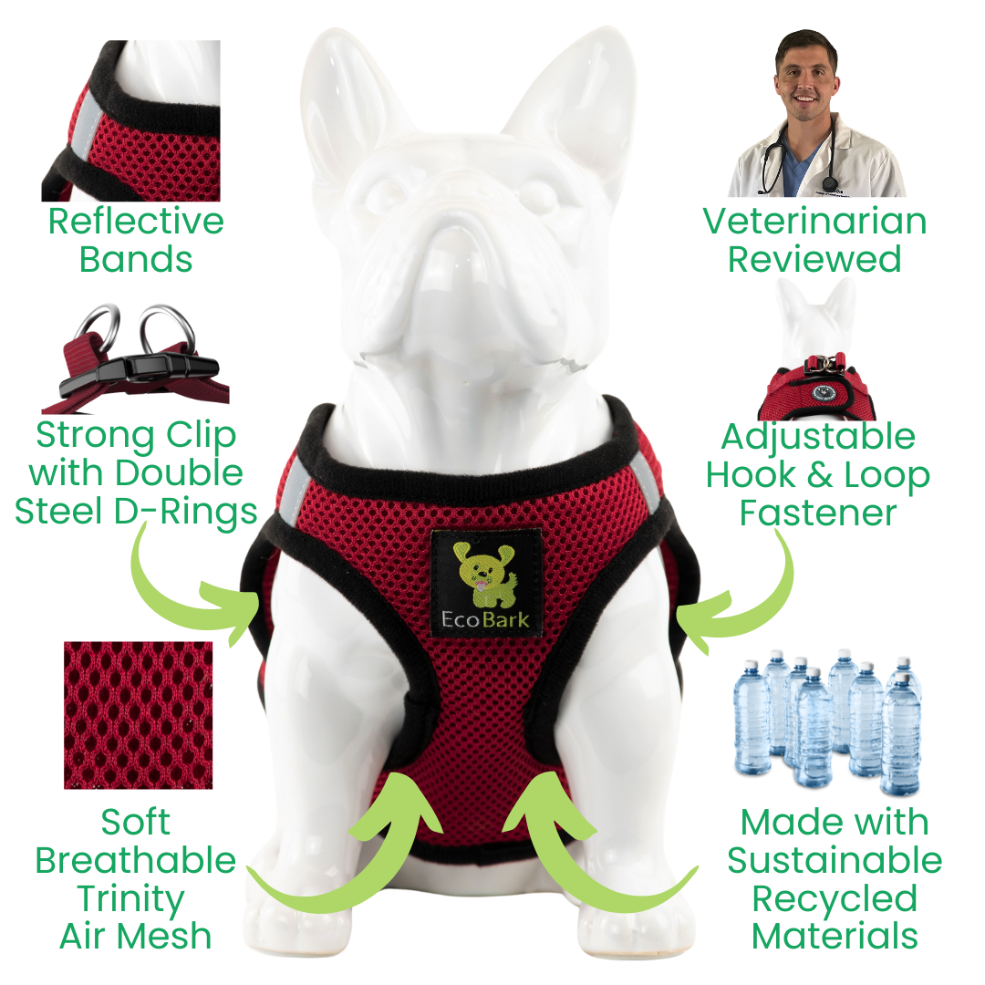 Dog Harness EcoBark Step In Harness XXXS to Small Breeds- - detail product image for dog harness
