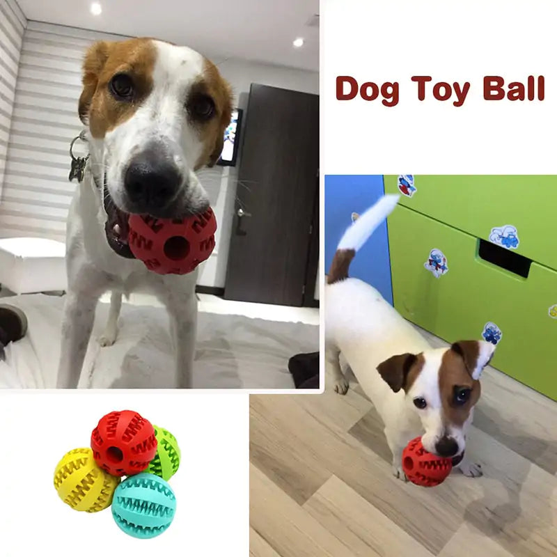Treat Ball for Cats and Dogs - Mimarta
