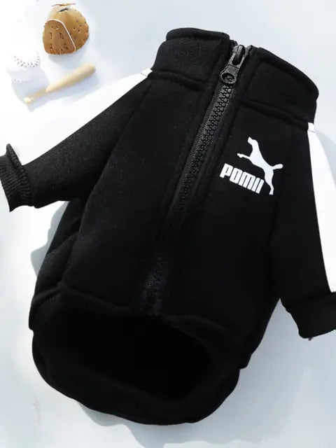 Winter Luxury Pet Dog Clothes - Mimarta