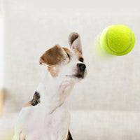 Dog Toy Rubber Elastic Tennis Ball Small and Medium sized