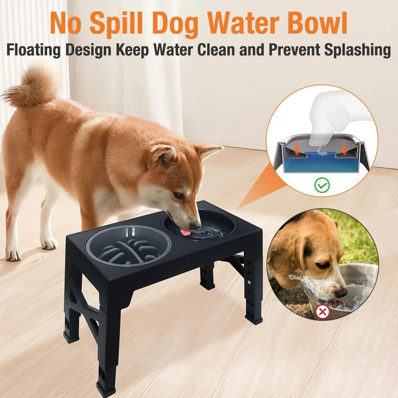Elevated Dog Feeder with Adjustable Raised Stand, Slow Food Bowl, Water Feeders for Large and Medium Dogs - Purrfect Pet Kingdom