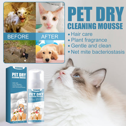 Waterless Grooming Mousse for Dogs and Cats | Fresh Clean