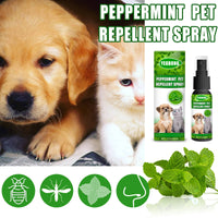 Peppermint Pet Repellent Spray, Dog Mite Spray Pet Mite