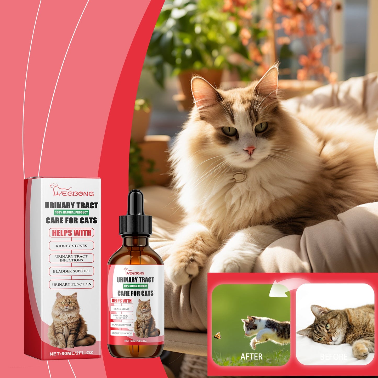 Pet Dietary Supplement, Take Care Of The Pet Body Discomfort Cat To Absorb Nutritional Supplements - Purrfect Pet Kingdom