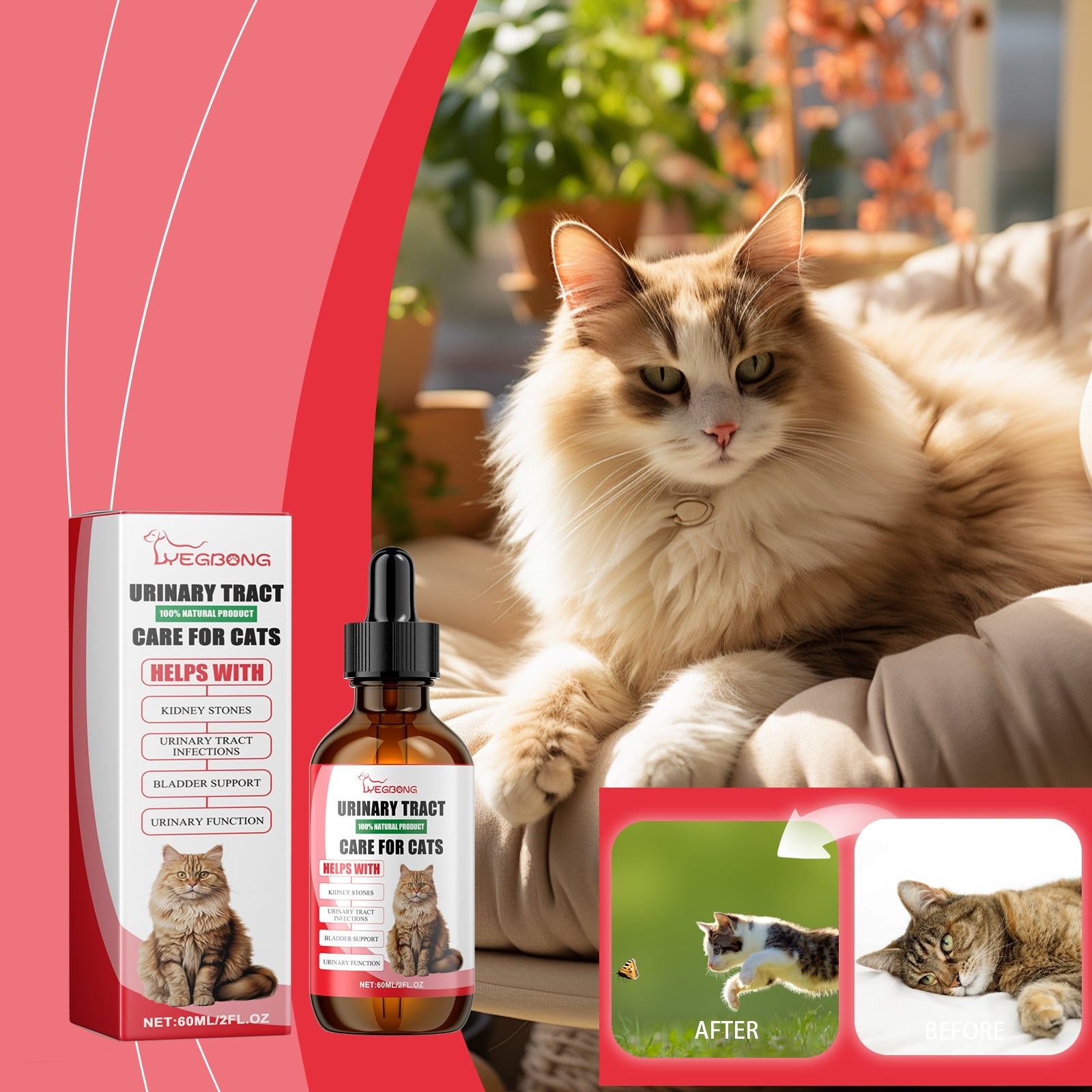 Pet Dietary Supplement, Take Care Of The Pet Body Discomfort Cat To Absorb Nutritional Supplements - Purrfect Pet Kingdom