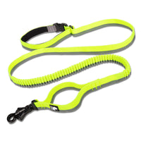 Pet dog leash with elastic cushioning suitable for outdoor
