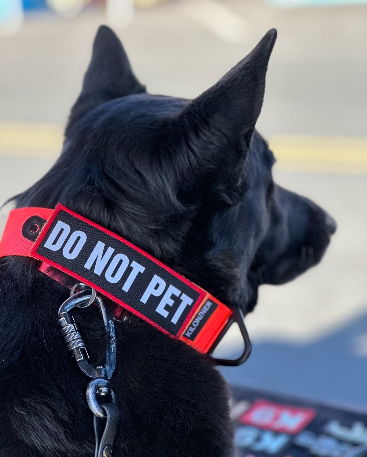 Do Not Pet Reflective Morale Patch
