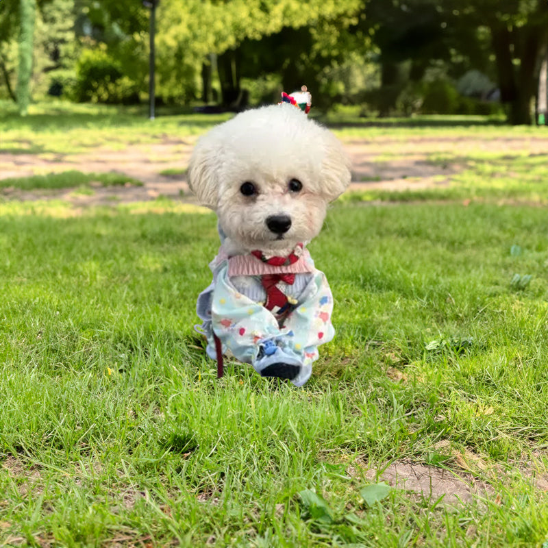 Pet Stroller, Dustproof Pants, Summer Jumpsuit, Leg - Protective Shoes/Trousers, Small Pet Wear - Purrfect Pet Kingdom