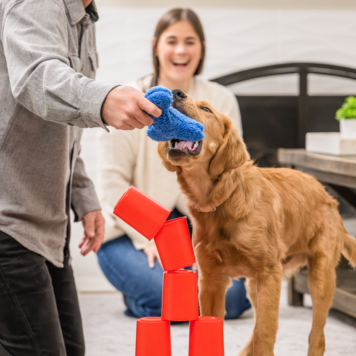 Dog Toy Toy The Dogs Best Friend Game for for Daily Use - close up product image for dog toy