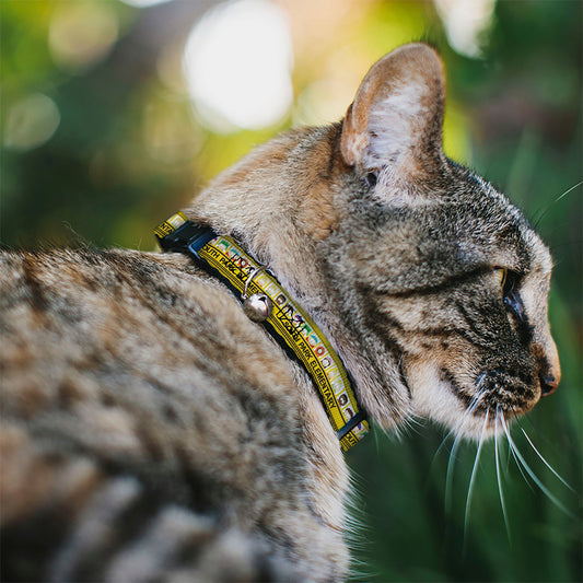 Breakaway Cat Collar with Bell - SOUTH PARK ELEMENTARY