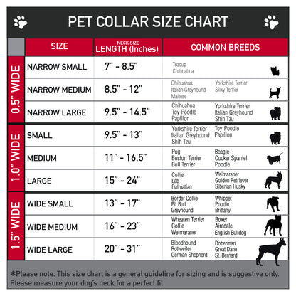 Dog Collar Plastic Clip California License Plates USA 🐕
