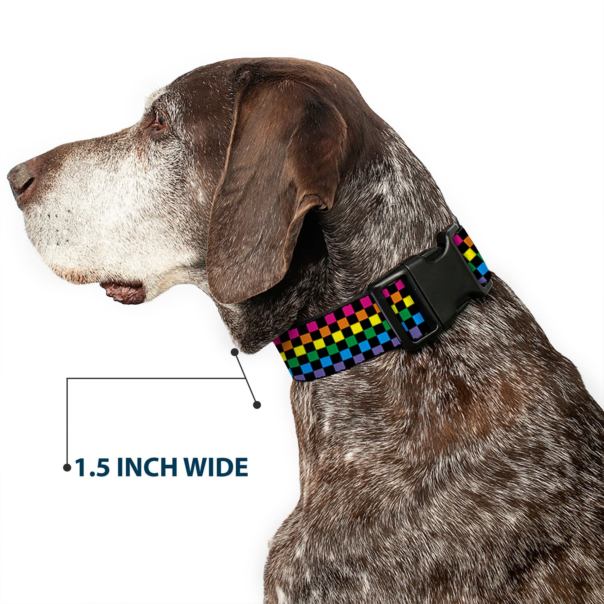 Plastic Clip Collar - Checker Black/Neon Rainbow - Premium Dog Collars - Buckle - Down