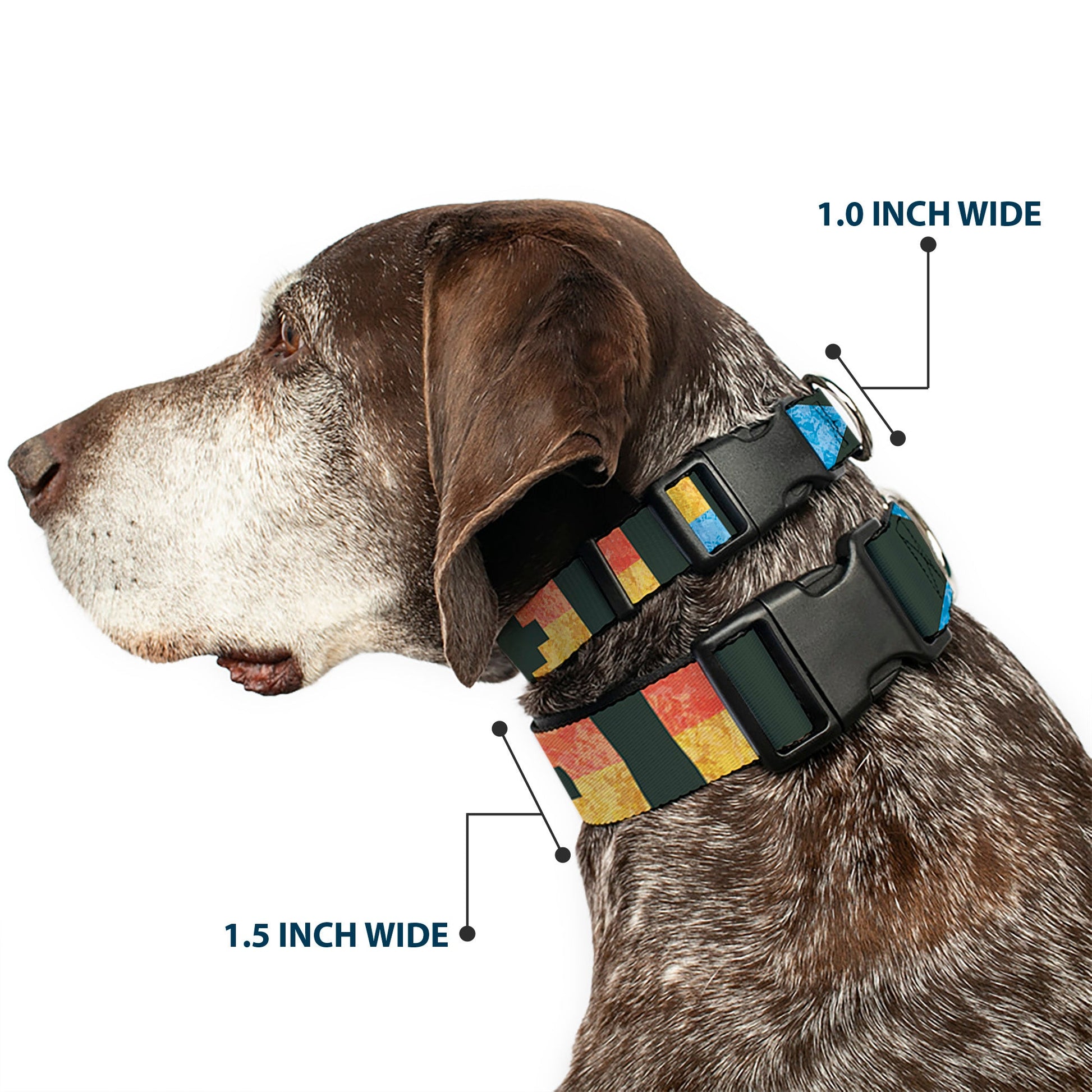 Plastic Clip Collar - Geometric8 Charcoal/Orange/Gold/Blue - Premium Dog Collars - Buckle - Down