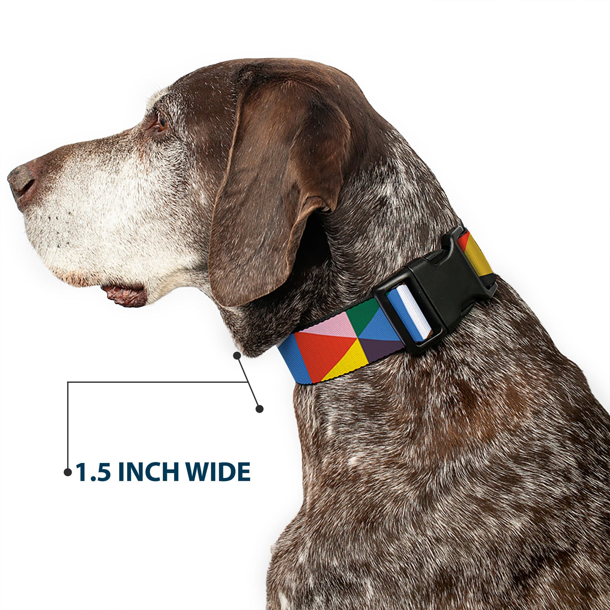 Plastic Clip Collar - Geometric Triangle Blocks Multi Color - Premium Dog Collars - Buckle - Down
