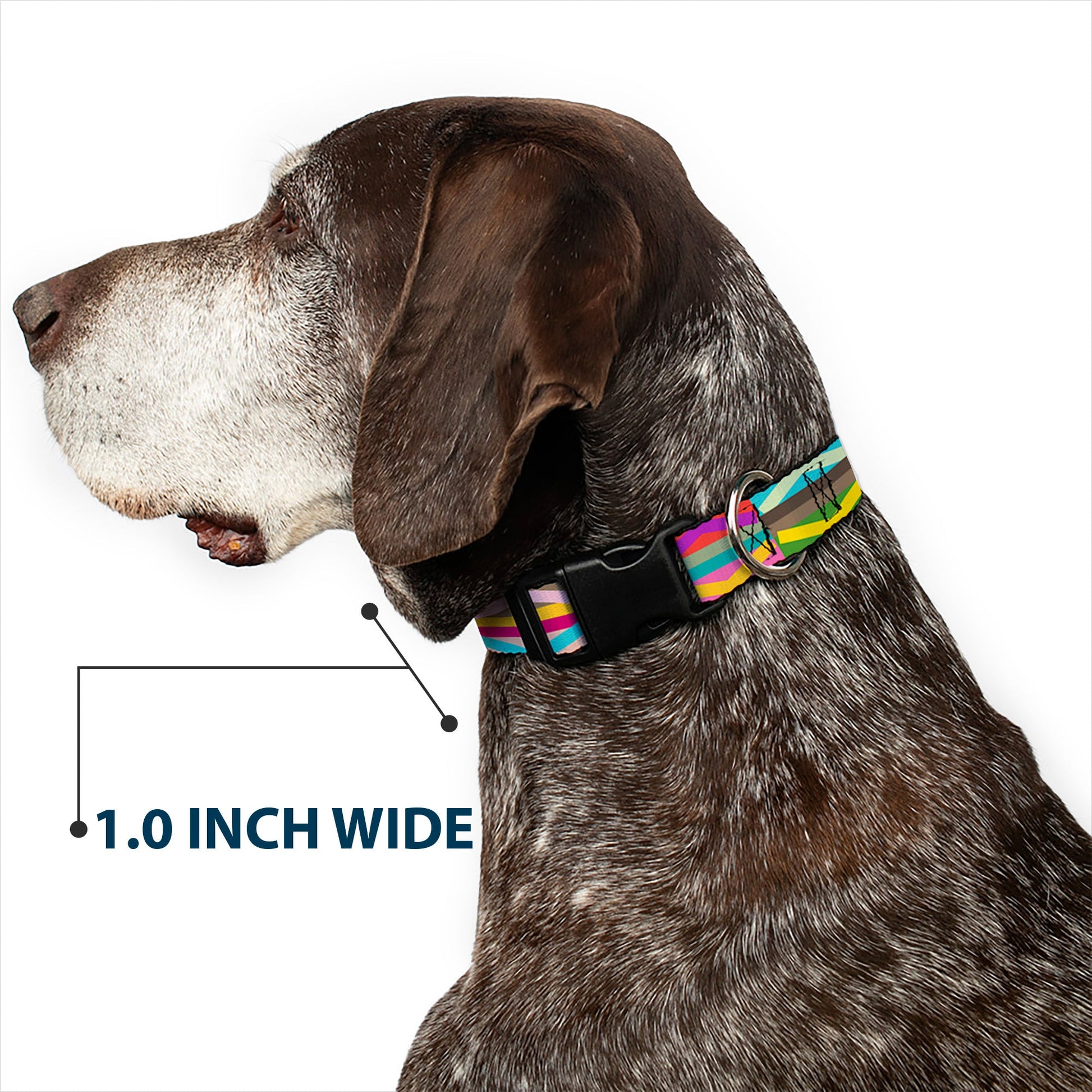 Plastic Clip Collar - Geometric10 Multi Color - Premium Dog Collars - Buckle - Down