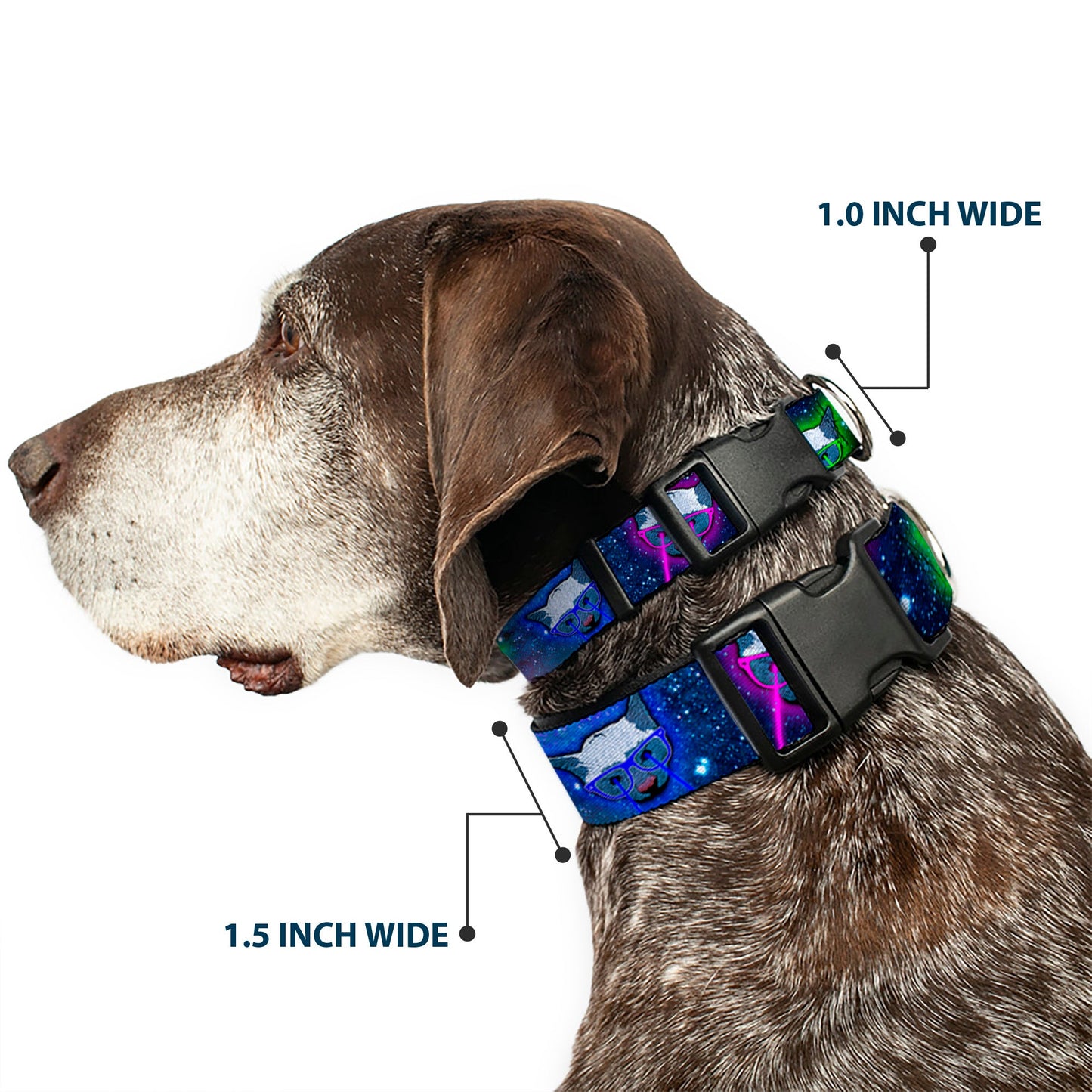 Dog Collar Plastic Clip Space Cats Laser Eyes Fun 🐕
