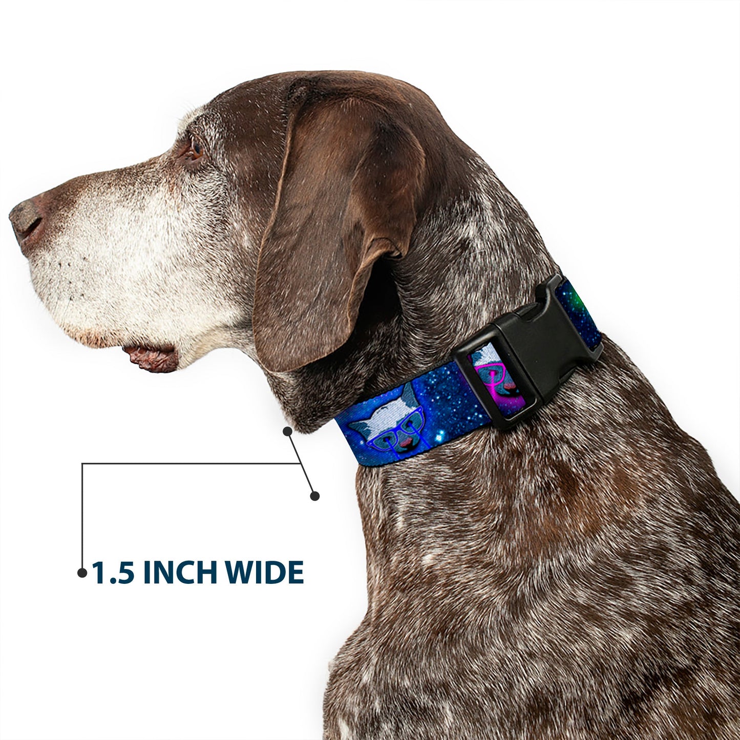 Dog Collar Plastic Clip Space Cats Laser Eyes Fun 🐕