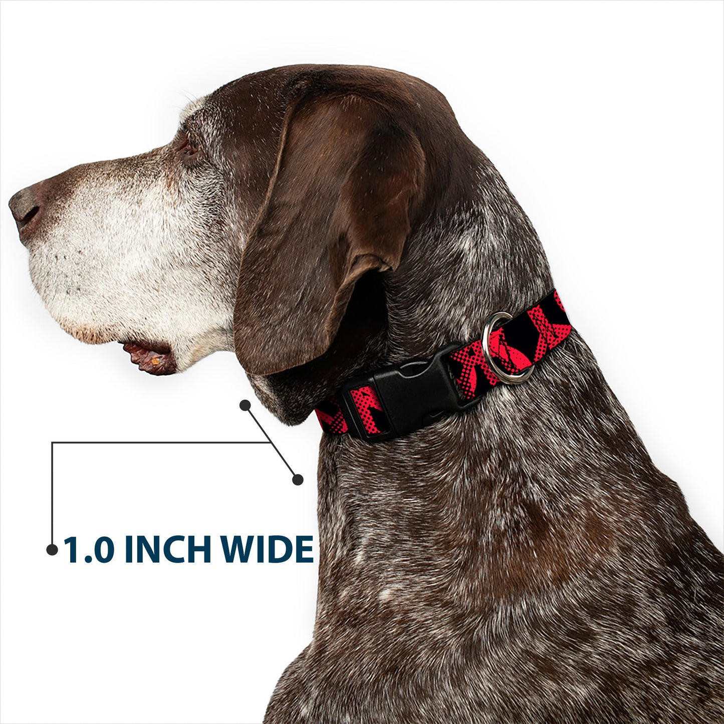 Plastic Clip Collar - Peace Dots Black/Fuchsia - Premium Dog Collars - Buckle - Down